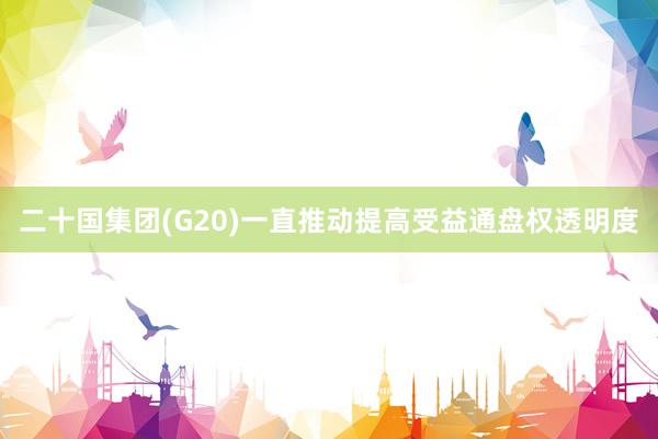 二十国集团(G20)一直推动提高受益通盘权透明度